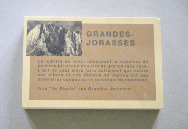 Plaquette Grandes Jorasses par Philippe Jaccard