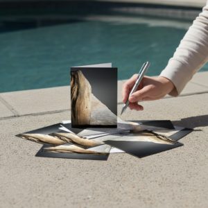 carte de vœux par Philippe Jaccard